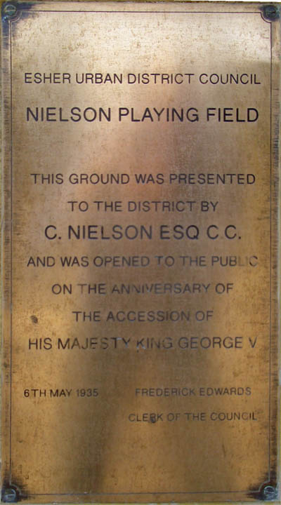 Neilson's Playing Field